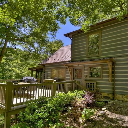 Waywish Waterfront Cabin In Blue Ridge Mountains Экстерьер фото