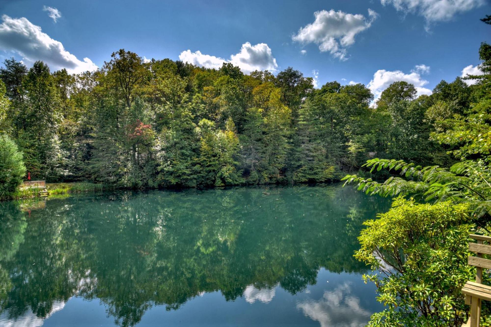 Waywish Waterfront Cabin In Blue Ridge Mountains Экстерьер фото