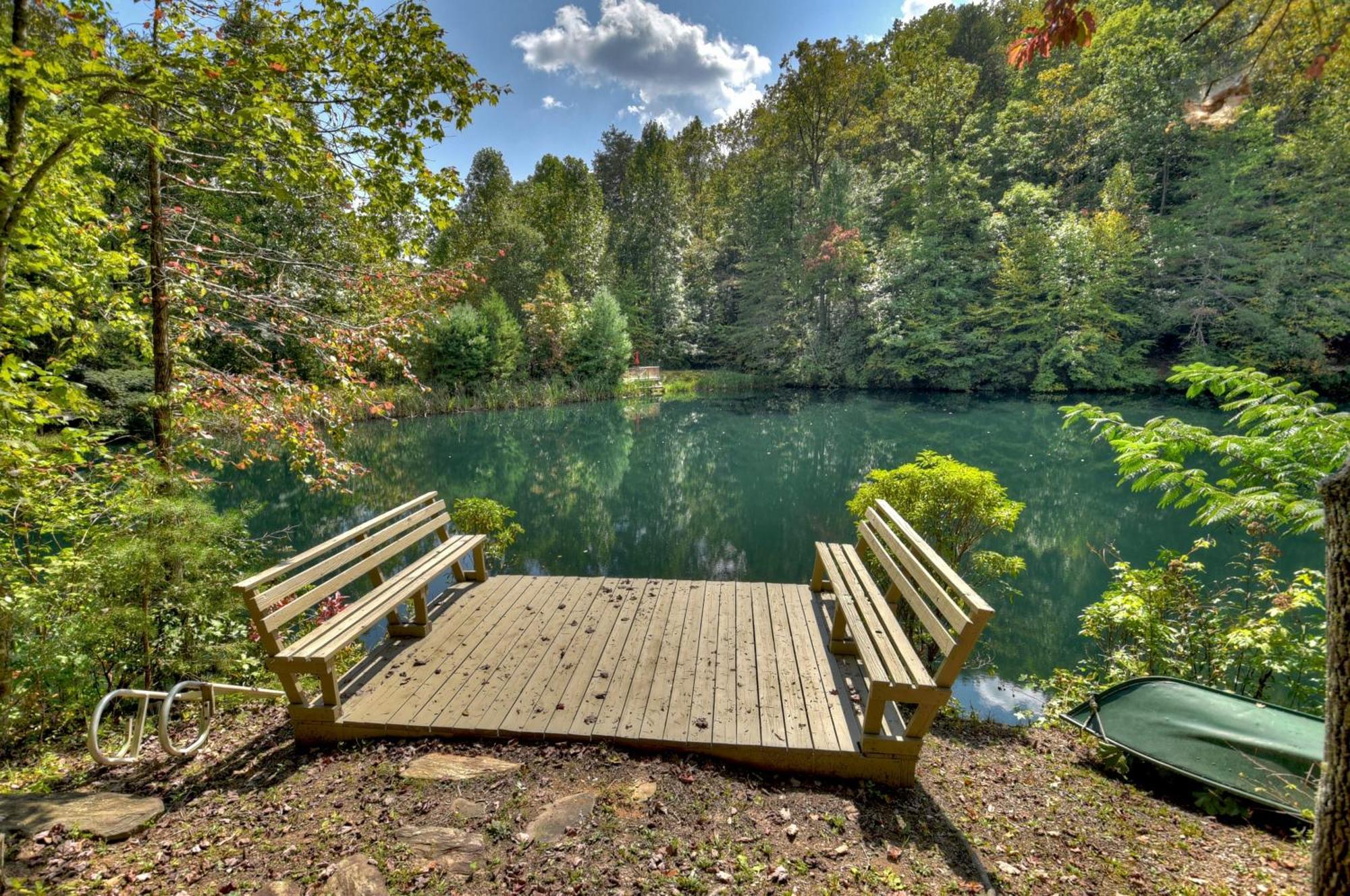 Waywish Waterfront Cabin In Blue Ridge Mountains Экстерьер фото