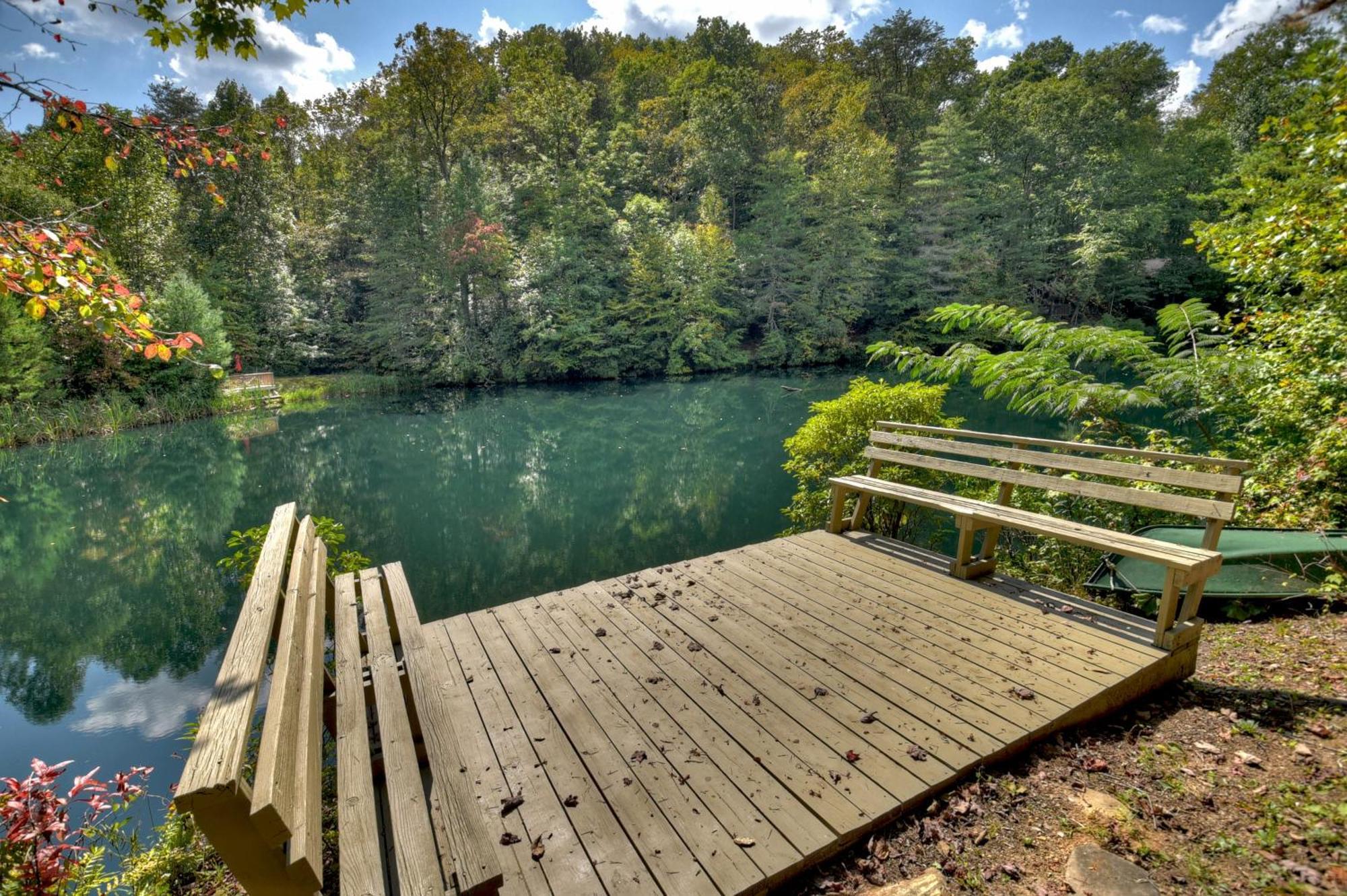 Waywish Waterfront Cabin In Blue Ridge Mountains Экстерьер фото